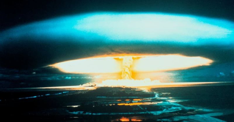 Experts believe this unique creature could make it to the end of the world - Vimarsana News