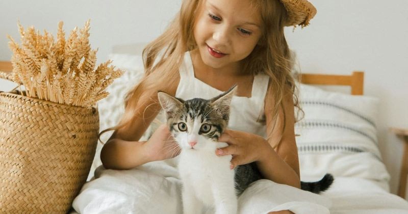 Little girl's hilarious presentation to parents on 'pros of getting a cat' even impresses Microsoft - Vimarsana News